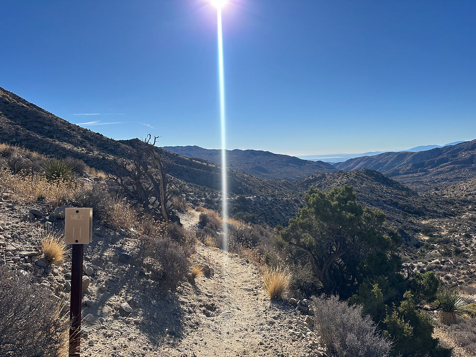 Mile 11 on the Joshua Tree Traverse trail