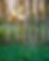Untitled design - 2025-05-05T134719.979.png