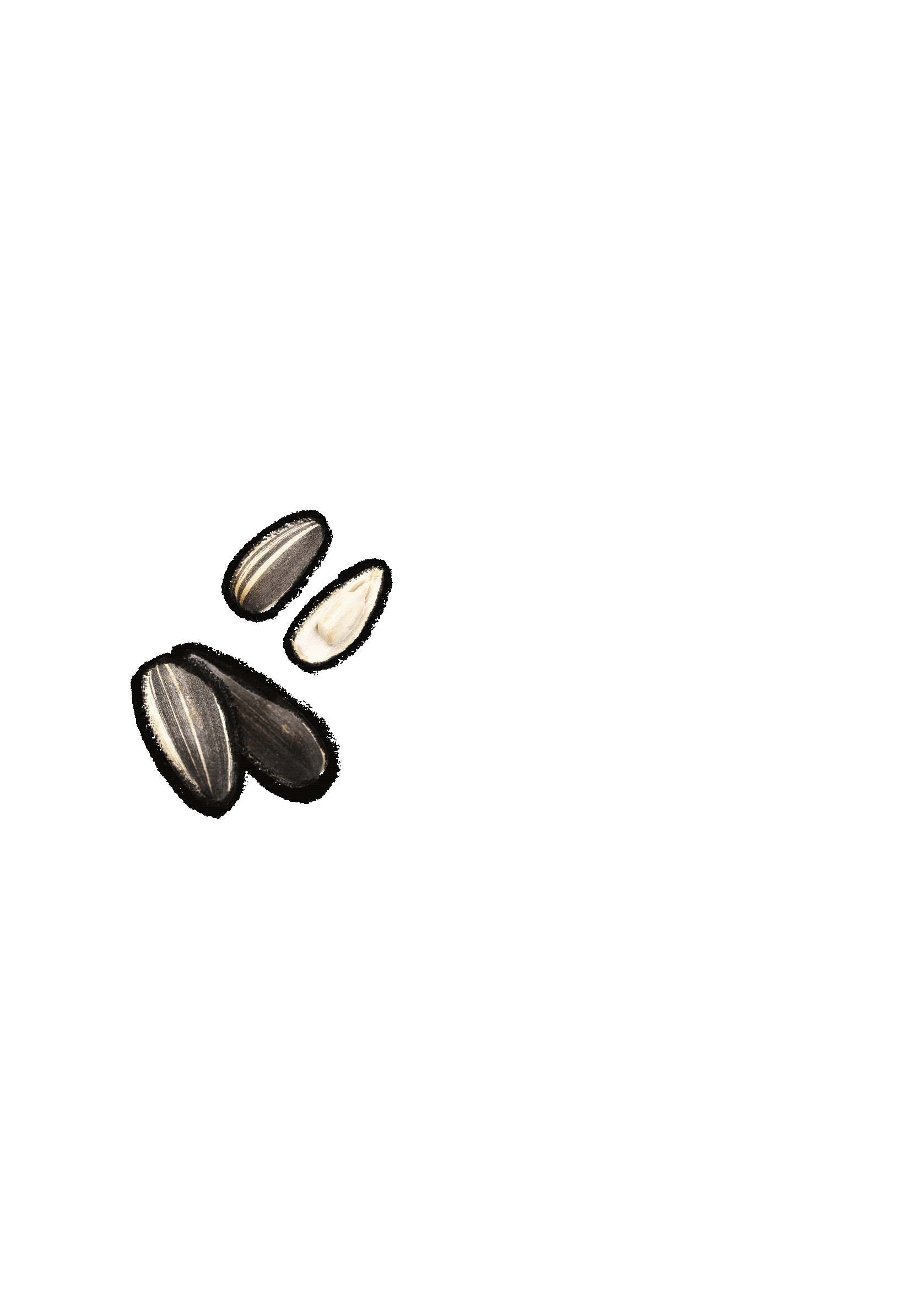 Seeds.gif