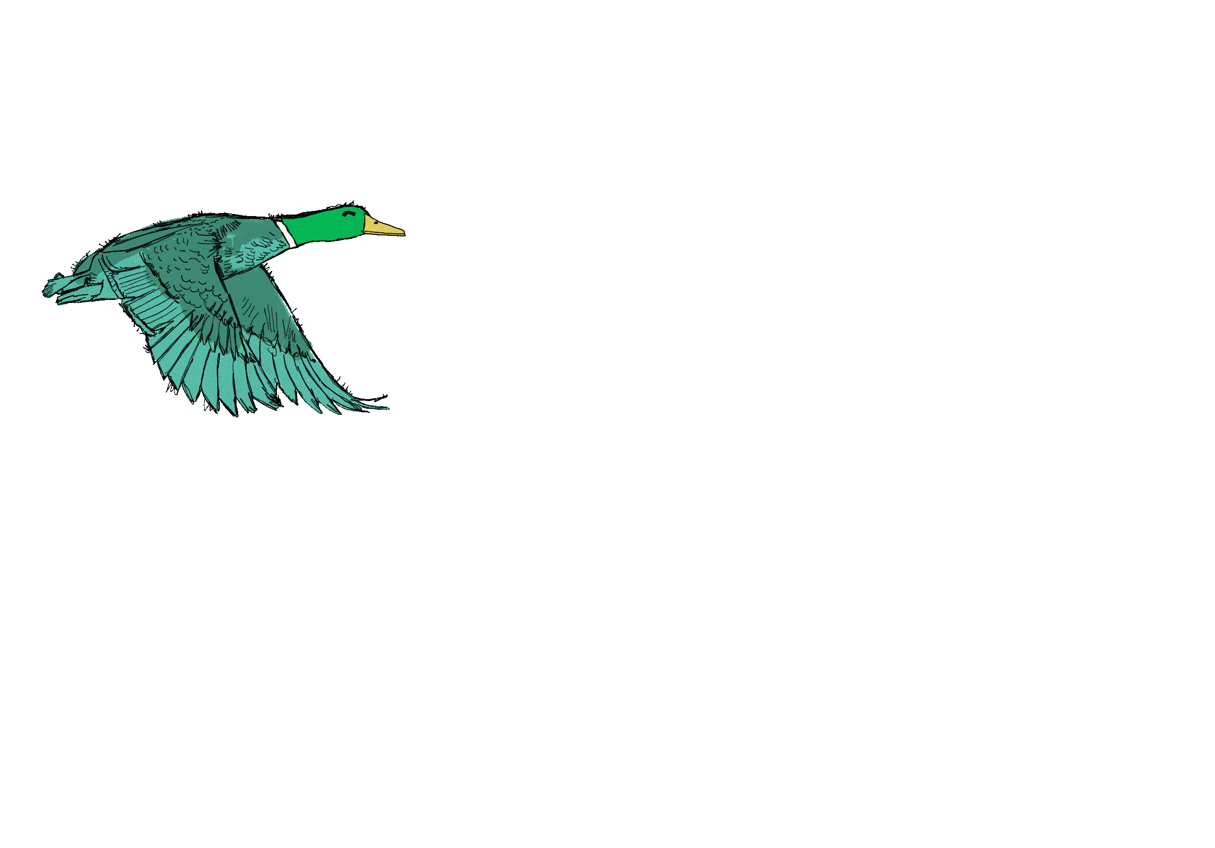 Flying.gif