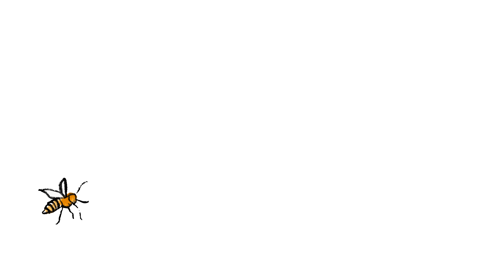 Your paragraph text.gif