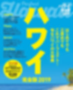 ハワイ完全版2019