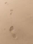 20250320_164939_edited.jpg