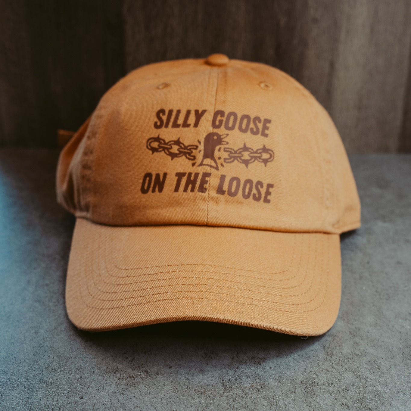 Silly Goose On The Loose Dad Hat