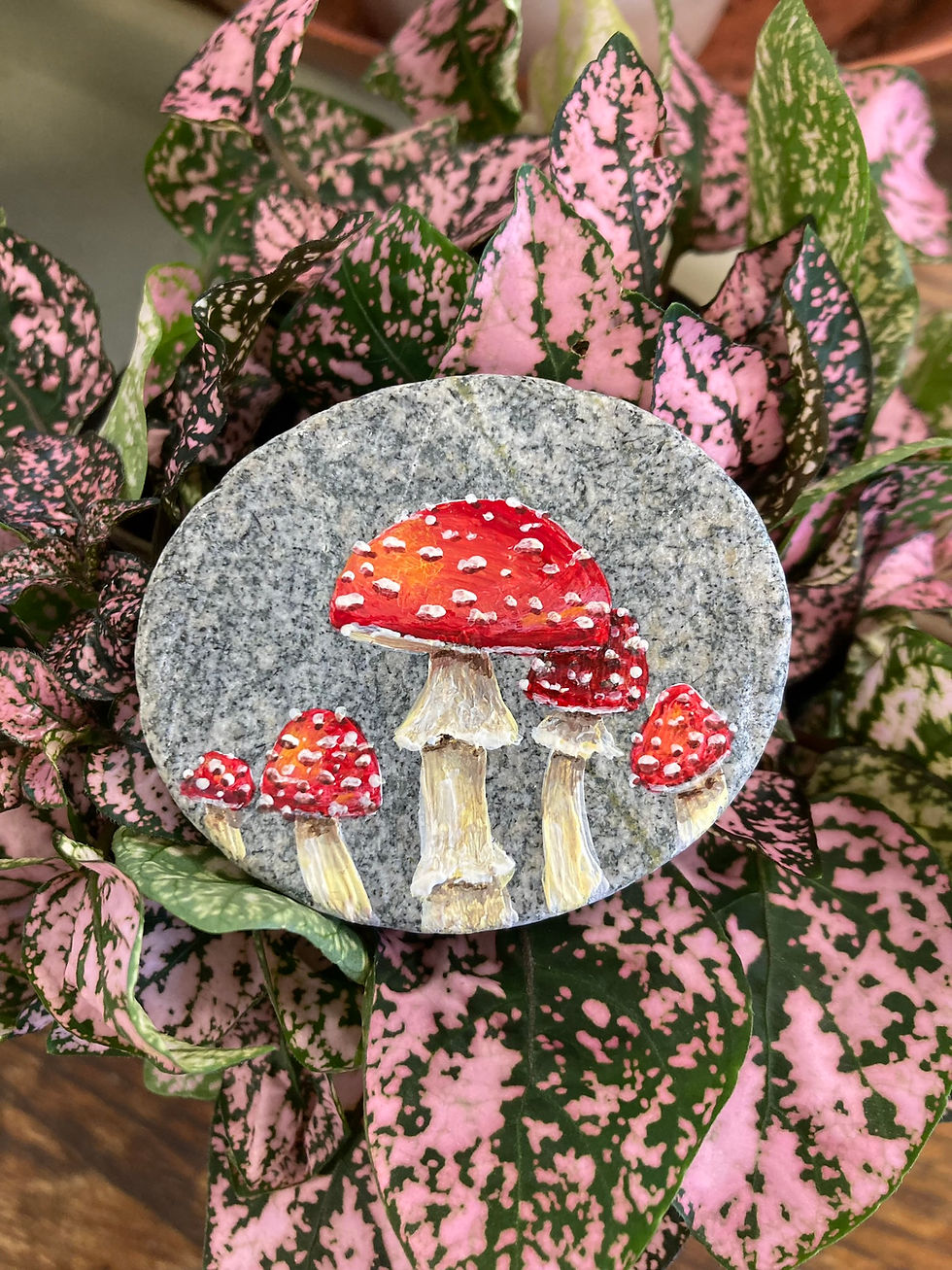 Painted Rock Magnet