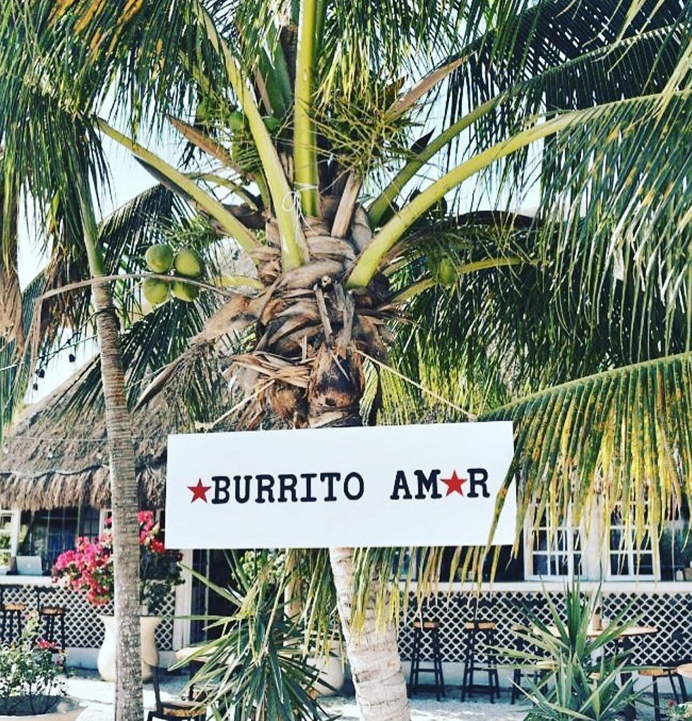 a sign attached to a Palm tree for Burrito Amor restaurant, cafe and smoothie bar perfect for curing hangovers