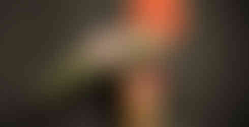 OVOGarden Chinese New Year Flower Arrangement