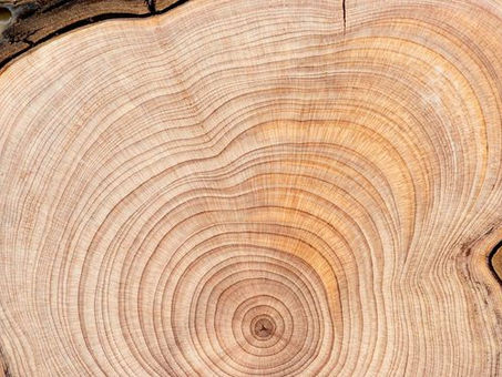 Why Solid Wood Furniture