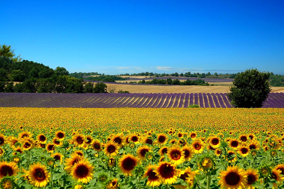 Provence,France