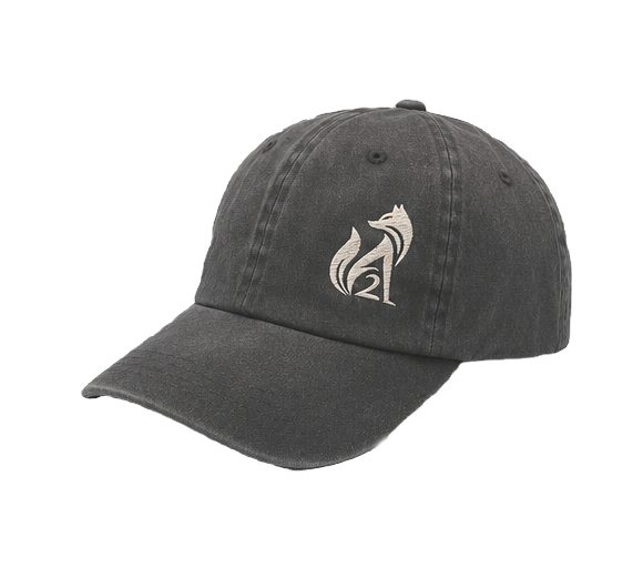 Renard Cap Washed Black