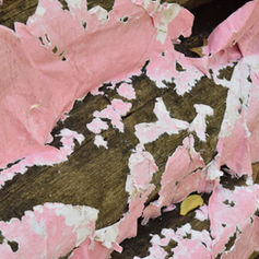 The World is Yours, Peter Privledge!