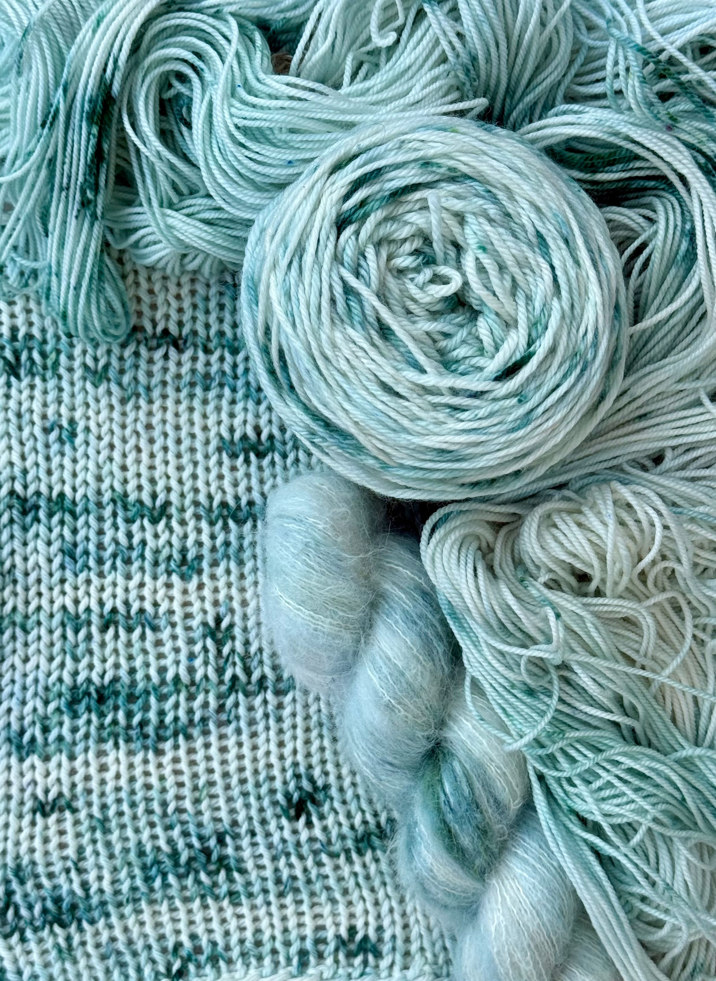 PETRI DISH HAND DYED YARN