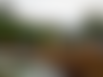 Snow-covered outdoor terrace of The Lantern Pub & Kitchen in Malvern Hills with wooden fencing and green umbrellas.