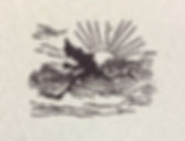 image1.jpeg
