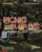 Picnic P.L.U.R. 002