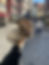 IMG_9362.jpeg