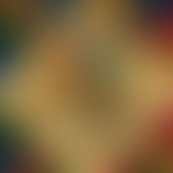 What About Us Determines Our Hogwarts House?