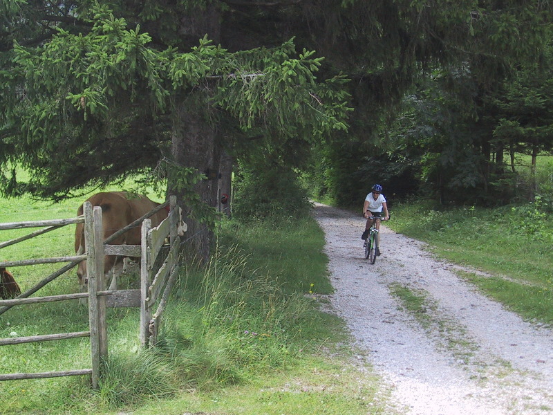 y02072690.jpg
