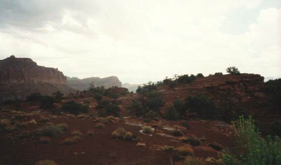00081212capitolreefy.jpg