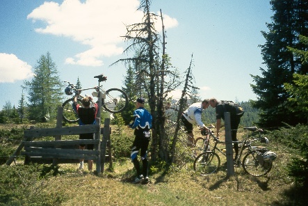 y9706017.jpg