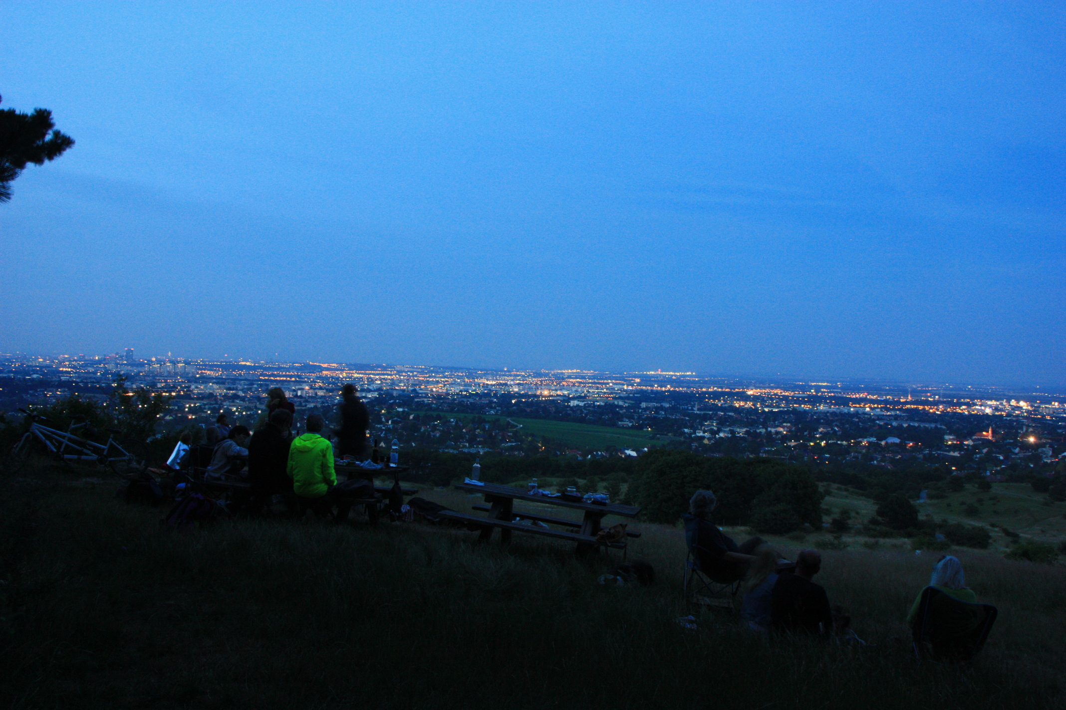 y2014061396.jpg