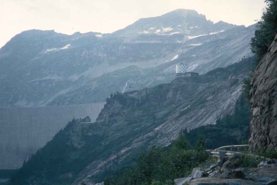 y9507184.jpg