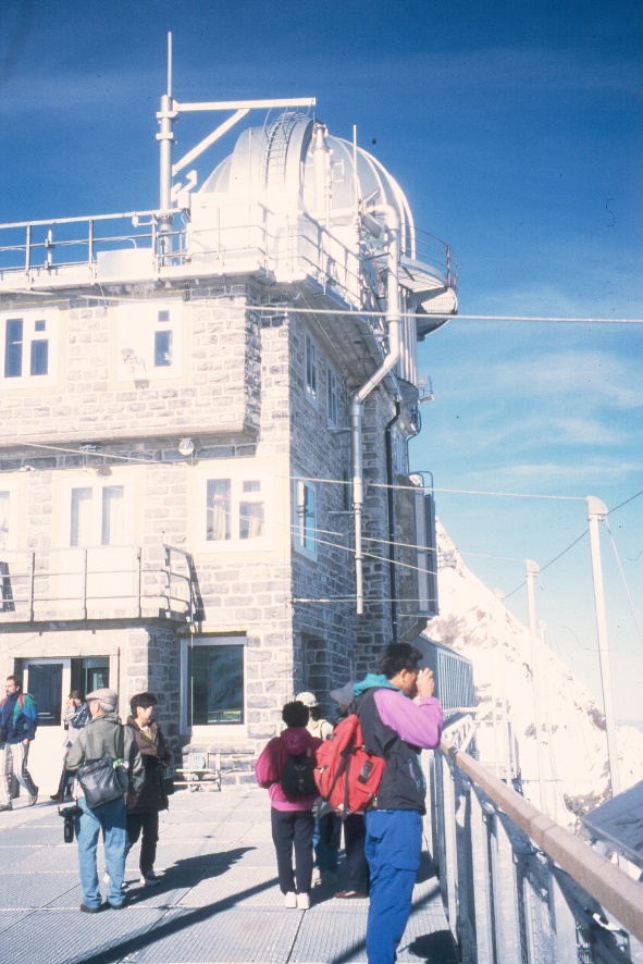 y9806262.jpg