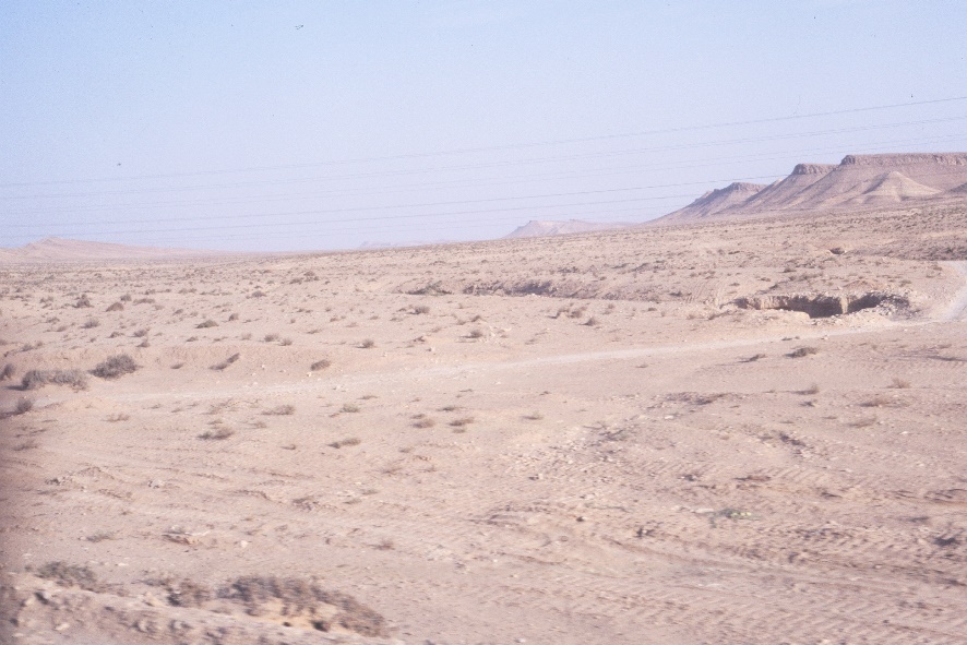 y8710142.jpg