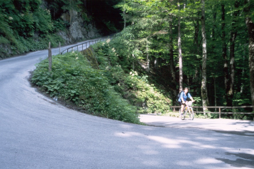 y9806202.jpg