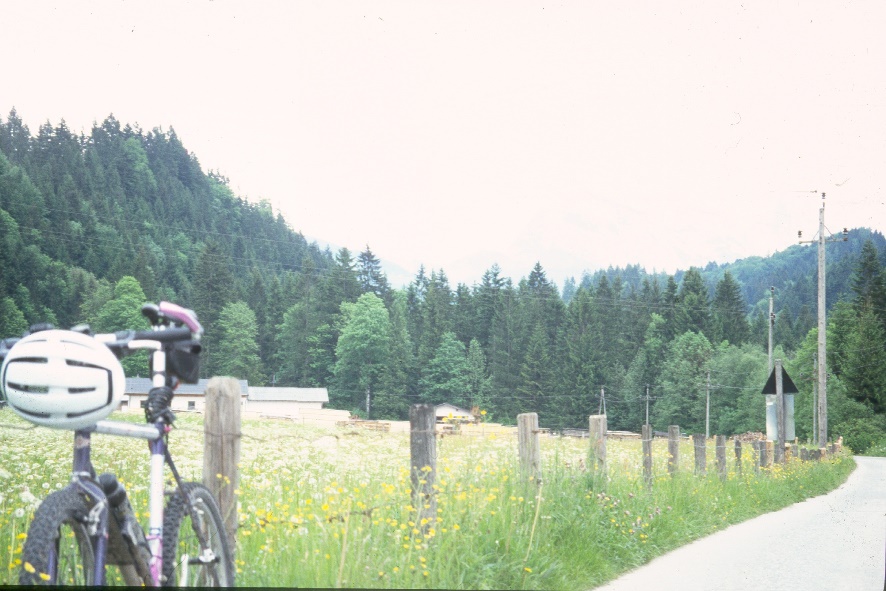 y9606006abtenau.jpg