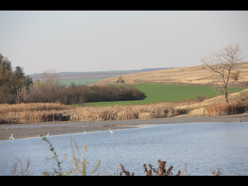 y2013102022nikopolis ad istrum.jpg