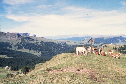 y97092418schlern.jpg