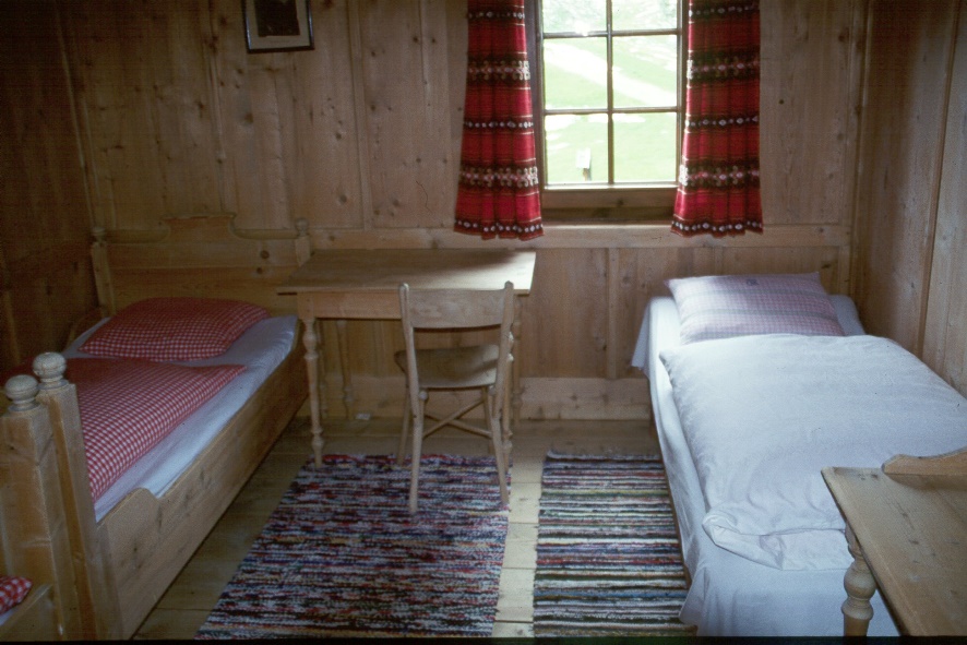 y9807029.jpg