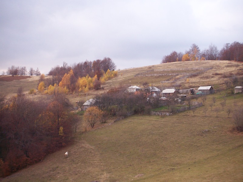 0710320rumäy.jpg
