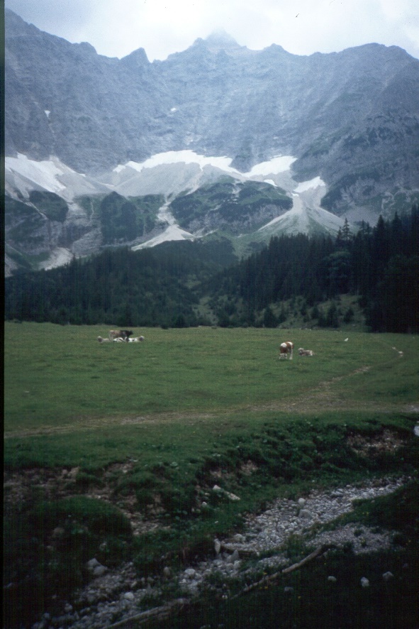 y9508168plumsjoch.jpg