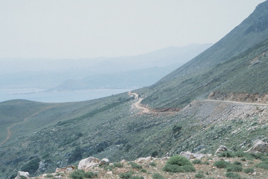 y9905328tigani.jpg