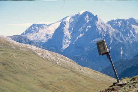 y97092420marmolada.jpg