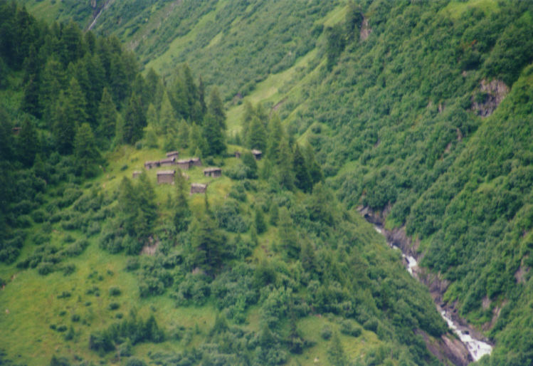 y9807050.jpg