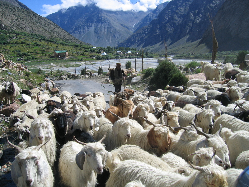 0608339bhagay.jpg