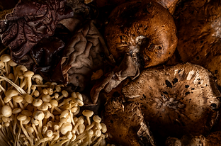 Captura de Tela 2025-05-07 às 17.05.56.png