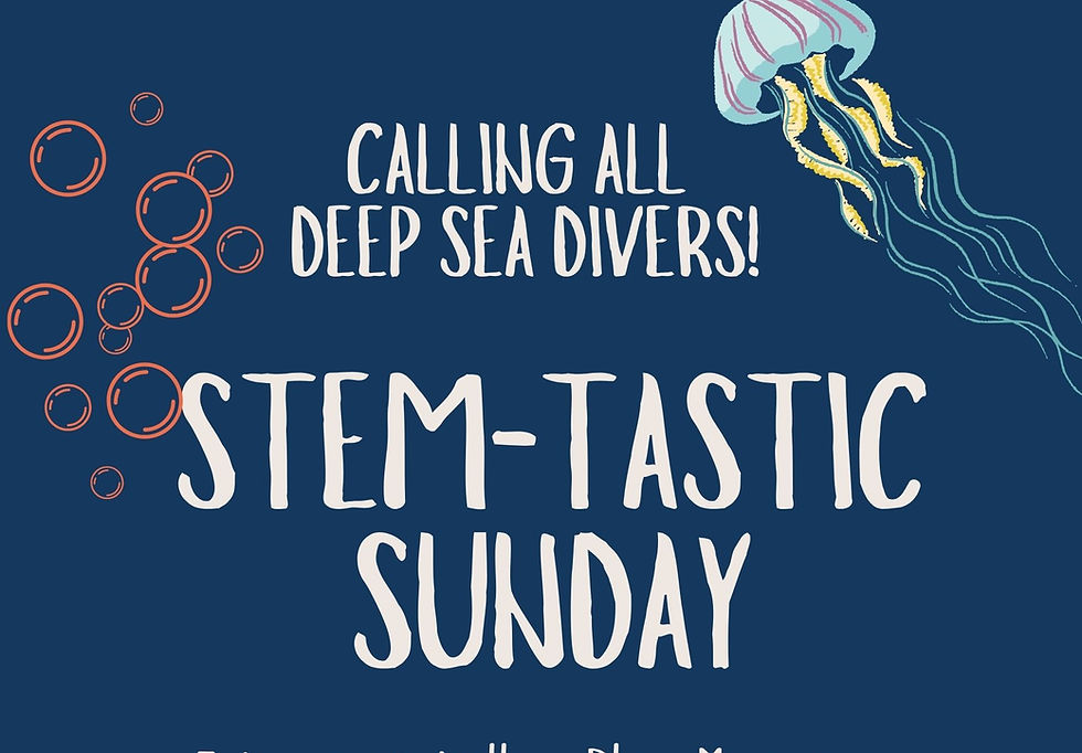 StemTastic Sunday-Marine themed