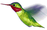 colibri-gifs-animes-106760.gif