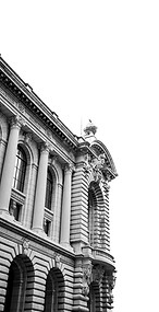 mat-vWTT3XncD3k-unsplash (1).jpg