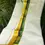 Thumbnail: Golden Kathakali Feather Black & Green Kasavu Cotton Double Mundu Dhoti opened view