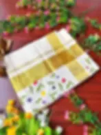 Tulip Tri-Color Kasavu Cotton Saree with Blouse folded view