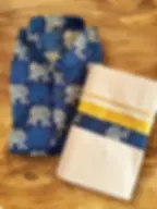 Prussian Blue Gajah Ajrak Kasavu Mundu and Shirt Combo Set main view