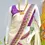 Thumbnail: Purple Leaf Designer Kasavu Cotton Set Mundu