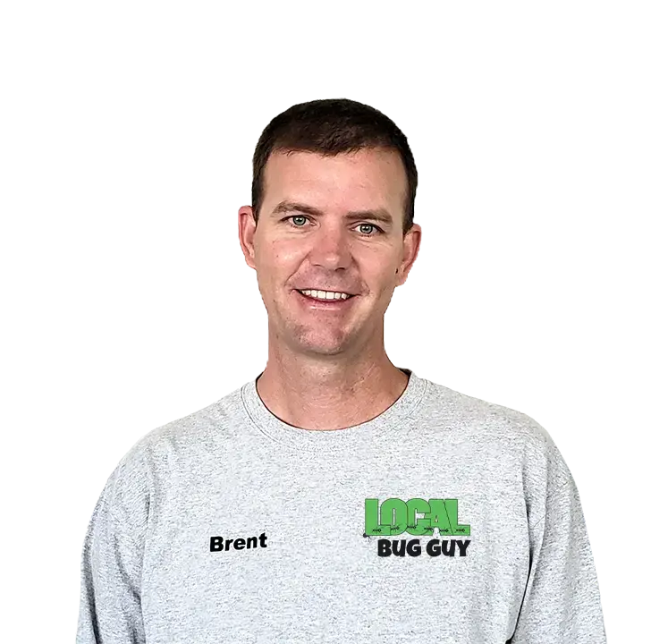 Local Bug Guy owner is Best pest control in Spanish Temecula.webp