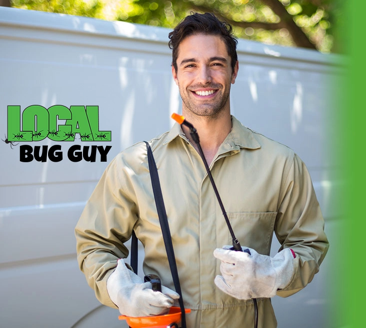 Why choose local Bug guy for Pest Control in Temecula