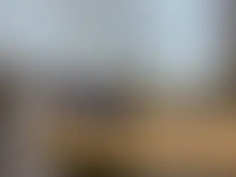 Palm Rats Florida | Port St. Lucie, Delray Beach